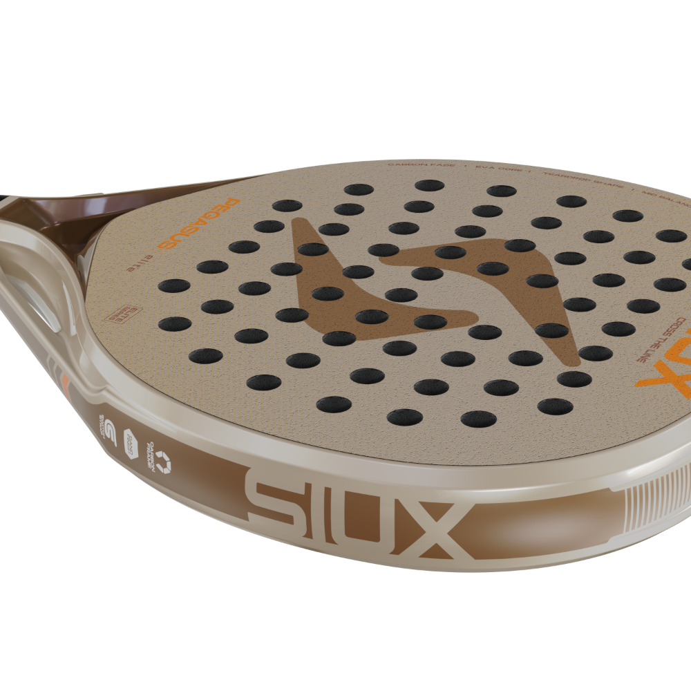 Siux Pegasus Elite 5 2027 tête