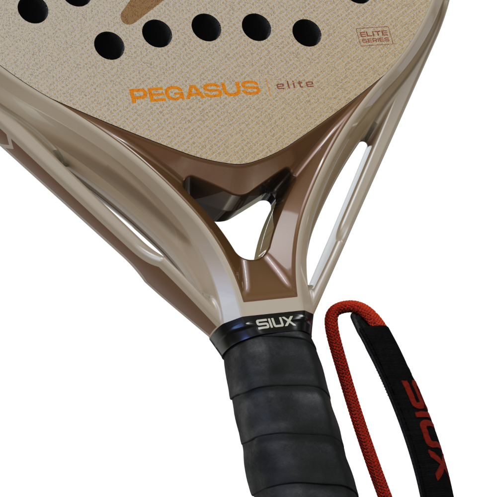 Siux Pegasus Elite 5 2027 cœur