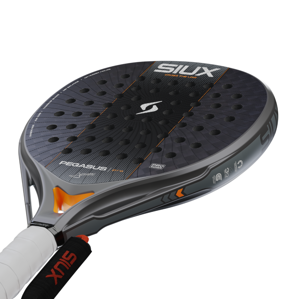 Siux Pegasus Pro Silver 2027 détail